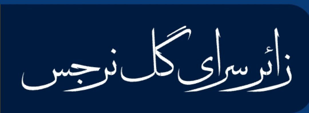 گل نرجس